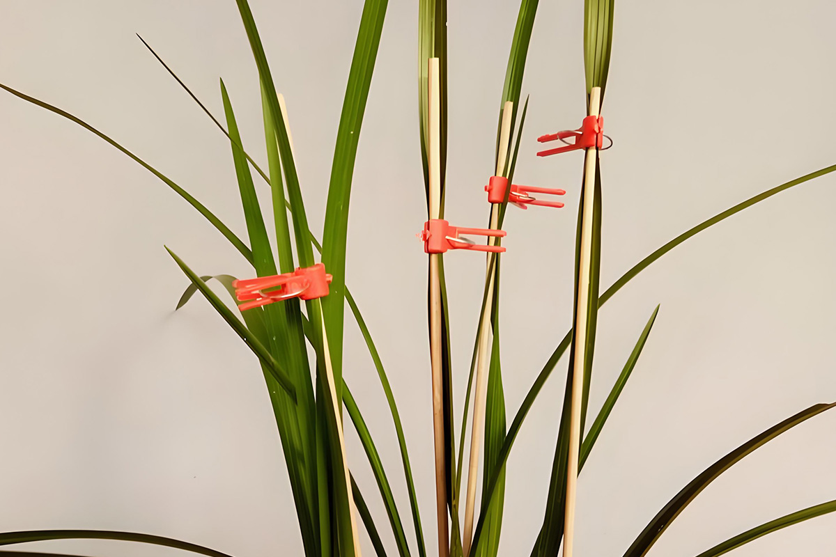 What are the daily decorative applications of bamboo skewers